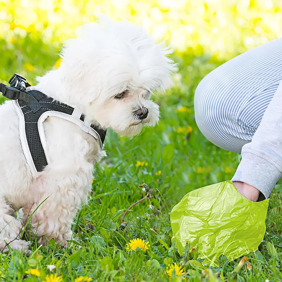 12 rolos de lixo para cães e gatos de estimação com coco, 15 sacos em cada rolo